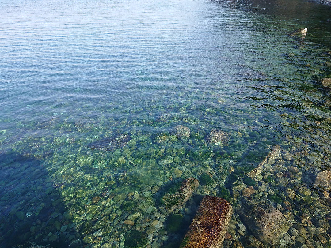 井田の海