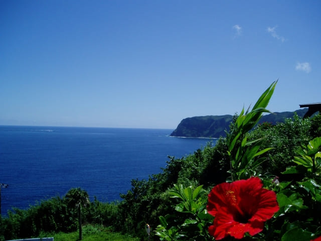 八丈島の海とハイビスカス